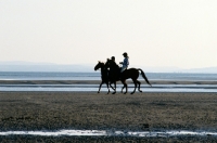 Picture of two horses and riders on a beach