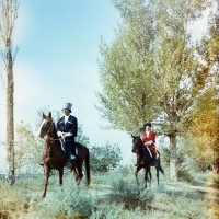 Picture of two karabakh horses and riders walking through trees, colour faded