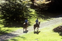 Picture of two riders in windsor great park