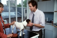 Picture of vet, greg simpson, with client and terrier