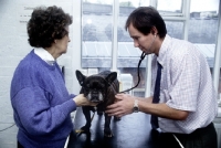 Picture of vet, greg simpson, with client examining french bulldog