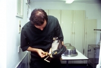 Picture of vet, neil forbes, examining an osprey's foot