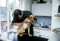 Picture of vet neil forbes examining dog in surgery