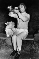 Picture of Westie listening to a man playing the trumpet