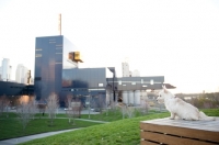 Picture of wheaten Scottish Terrier puppy sitting in front of city skyline at sunset