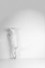 Picture of white oriental cat standing in front of a wall