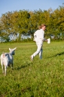 Picture of white Saanen diary goat chasing women with pitcher of grain in grassy field