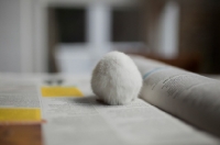 Picture of White Syrian Hamster from behind, sitting on newspaper