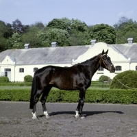 Picture of wielkopolska at laÃ§k, poland