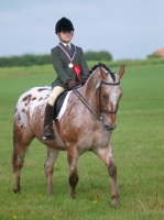 Picture of Winning appaloosa ridden by girl