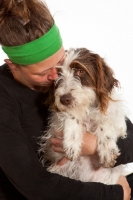 Picture of woman hugging her young German Wirehaired Pointer