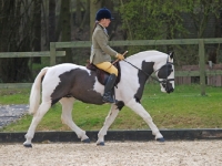 Picture of woman riding a Cob