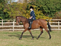 Picture of woman riding a thoroughbred horse