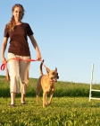 Picture of woman walking her dog