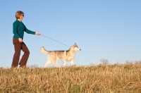 Picture of woman walking her Husky