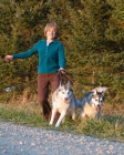 Picture of woman walking her two Huskies