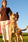 Picture of woman with her dog