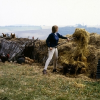 Picture of woman with pitchfork at dung heap with chickens in background