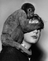 Picture of Woolly Monkey holding onto a girl