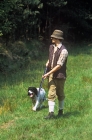 Picture of working type english springer spaniel with gamekeeper