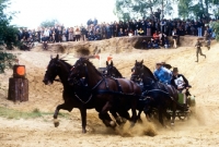 Picture of world driving championships Windsor 1980