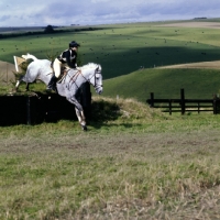 Picture of wylye horse trials 1974