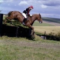 Picture of wylye horse trials cross country