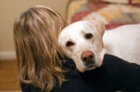 Picture of yellow lab hugging woman