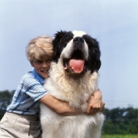 Picture of young boy with his st bernard