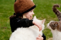Picture of Young girl child holding white cat while a gray and white cat investigates her.