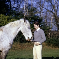 Picture of young girl giving her pony a titbit with a flat hand