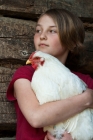 Picture of young girl holding a white rock hen in an old barn