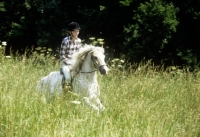 Picture of young girl riding welsh mountain pony through long grass