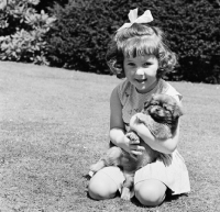 Picture of young girl with a tibetan spaniel puppy