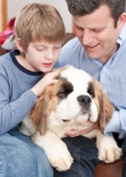 Picture of young Saint Bernard with boy and man
