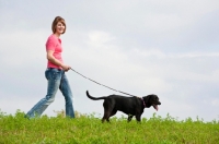 Picture of young woman taking her Black Labrador Retriever for a walk in the country